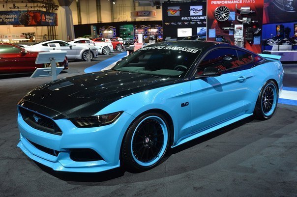 Ford Mustang Customs - 2
