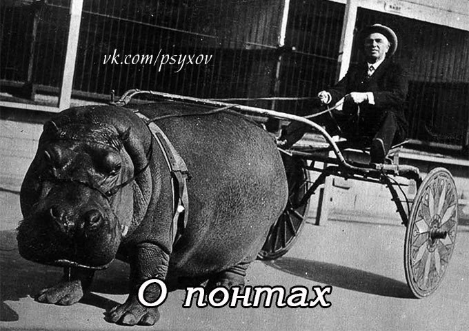 О понтах.Понты первого порядка: купить большую дорогую машину и Ролекс, читать Коэльо, презирать ...