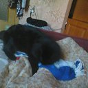 ���� �����, �����-��������� - ��������� 17 ����� 2015 � ������ ���� ����������