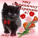 ���� �����, �������, 48 ��� - ��������� 30 ����� 2015 � ������ ���� ����������