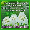 ���� ����, ������ - ��������� 3 ������ 2015 � ������ ������ ��������