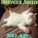 ���� �����, ���� - ��������� 24 ������ 2015 � ������ ������ ���� �� ������� ������ � ĸ����! (�������)�