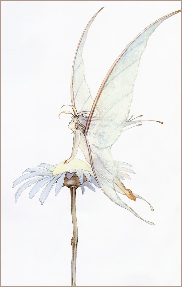 Yoshitaka Amano - 24