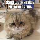 ���� Serge, ���������, 40 ��� - ��������� 26 ����� 2015 � ������ ������ ��������