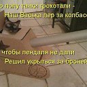 ���� �������, ������-��-����, 46 ��� - ��������� 21 ������ 2015 � ������ ������ ��������