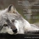 ���� �����, ������, 46 ��� - ��������� 14 ������� 2015 � ������ ������ ��������