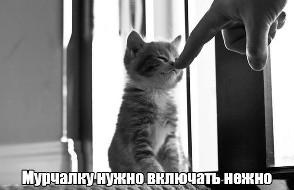  -  - 18  2015  11:25