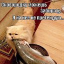  ,  -  23  2014    