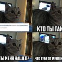 ���� ������, �����, 40 ��� - ��������� 2 ������� 2015 � ������ ������ ��������