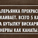 ���� ������, ����� - ��������� 12 ������ 2015 � ������ ������� � �������������