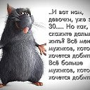 ���� Quiet, ������, 43 ���� - ��������� 16 ������ 2015 � ������ ������ ��������