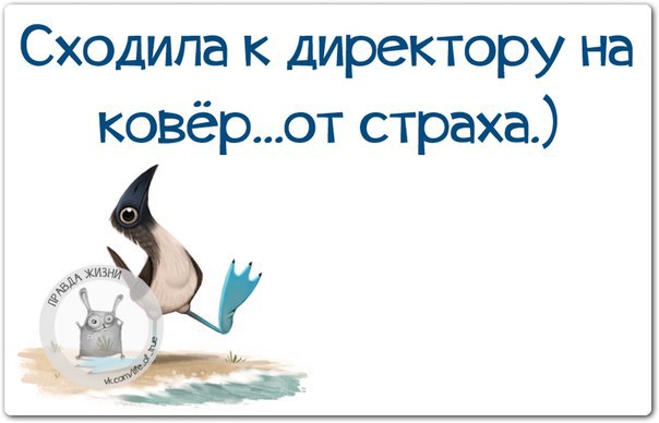 ������ ����� / ���� ! - 20 ������� 2015 � 22:07