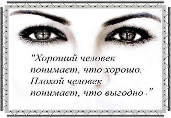 Если бы можно было отличить настоящего хорошего человека от фальшивого, как отличают съедобные грибы ...