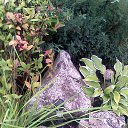  , , 58  -  25  2015     - 