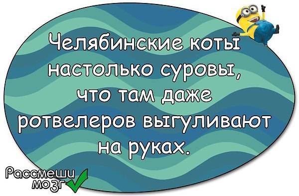  - 13  2015  19:59