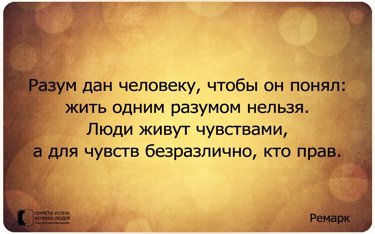     - 20  2015  13:49