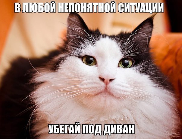       - 3  2015  20:32