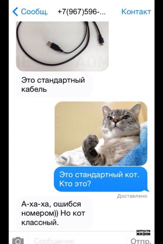 ��� �� �����, ������� ���� �������� ��������.����� �� ����: - 2