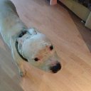 ���� ������, ����-��� - ��������� 19 ������� 2014 � ������ ���� ����������