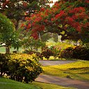 ���� ������, �������� - ��������� 8 ������ 2015 � ������ ������ ��������