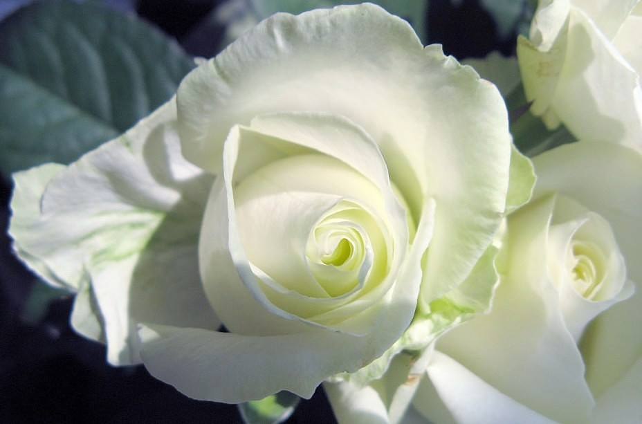  - 22  2015  09:19 - 3