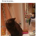 ���� ����)), �������� ������ - ��������� 29 ����� 2015 � ������ ������ ��������