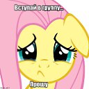 ���� �����, �����-���������, 23 ���� - ��������� 30 ����� 2015 � ������ ������ ��������
