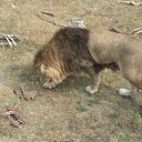 ���� ���, ����� - ��������� 16 ������� 2015 � ������ �����-���������!�