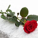 ���� &hearts; ������� &hearts;, ������ - ��������� 1 ������� 2015 � ������ ������ ��������