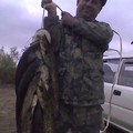  , , 60  -  28  2015    