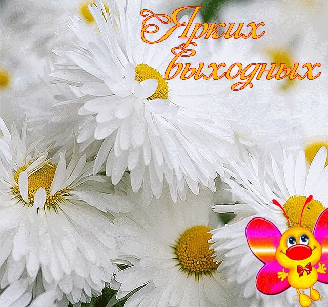    .      !   https://fotostrana.ru/away?to=/sl/KE2