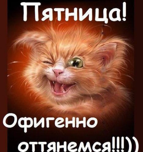 https://fotostrana.ru/away?to=/sl/6rS4