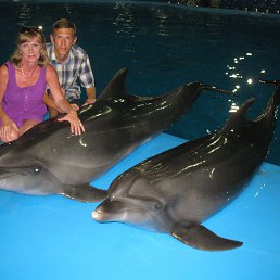 ���� �������, �������, 65 ��� - ��������� 8 ������� 2015