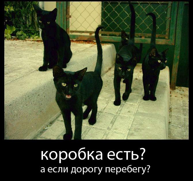 Sergey - 21  2015  23:29