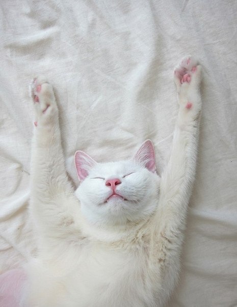 ...   ......   :)