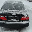 ���� �������, �����������, 30 ��� - ��������� 1 ����� 2015 � ������ ������ ��������