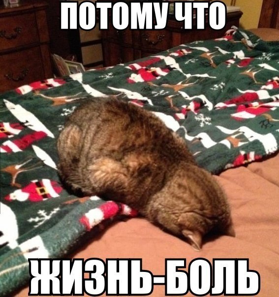 -   ? -  . - ? -