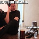  , , 53  -  19  2015    