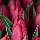 ���� �����, �����, 58 ��� - ��������� 2 ������� 2015 � ������ ������..������ ���������!�