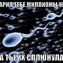 ���� ��������......., ������ ��������, 37 ��� - ��������� 21 ������� 2014 � ������ ������ ��������