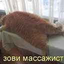 ���� ����, �������, 51 ��� - ��������� 8 ������� 2015 � ������ ������ ��������