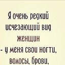 ���� ����, ������ ����� - ��������� 31 ����� 2015 � ������ ������ ��������