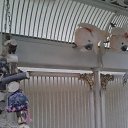 ���� Zinaida, ���� - ��������� 16 ����� 2015 � ������ ����������