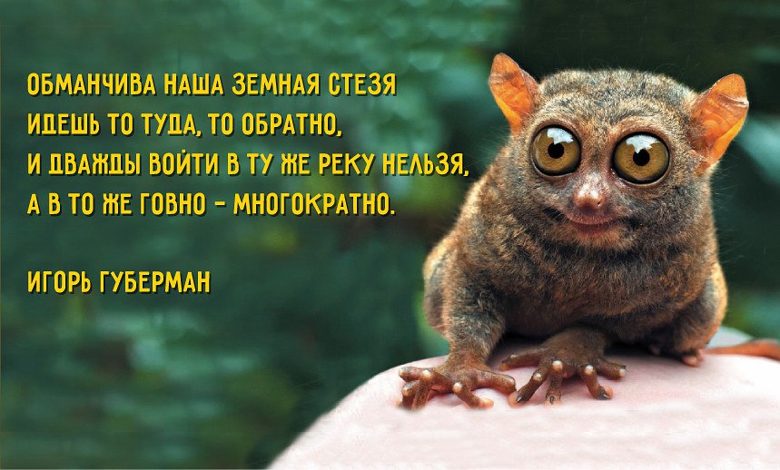 :)))