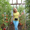 ���� ������, ������ - ��������� 25 ����� 2015 � ������ ���� ����������