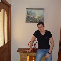 �����, �������, 38 ���