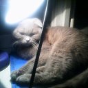 ���� �������, �����-���������, 71 ��� - ��������� 24 ������� 2015 � ������ ������ ��������