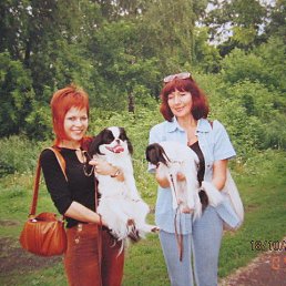 ���� ��������� ��������, ���� - ��������� 26 ������� 2014