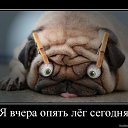 ���� ������, ����, 41 ��� - ��������� 29 ����� 2015 � ������ �:)�