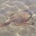 ���� �����, �����-���������, 61 ��� - ��������� 21 ������ 2015 � ������ ������ 2015�